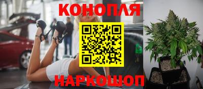 apvp Кимры