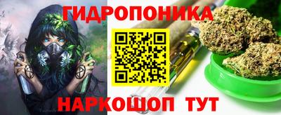 apvp Кандалакша