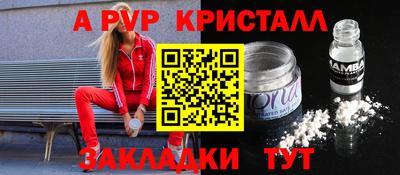 ГАЛЛЮЦИНОГЕННЫЕ ГРИБЫ Кингисепп