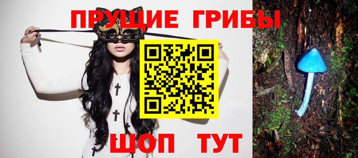 Галлюциногенные грибы Cubensis  Вход с VPN  Электрогорск 